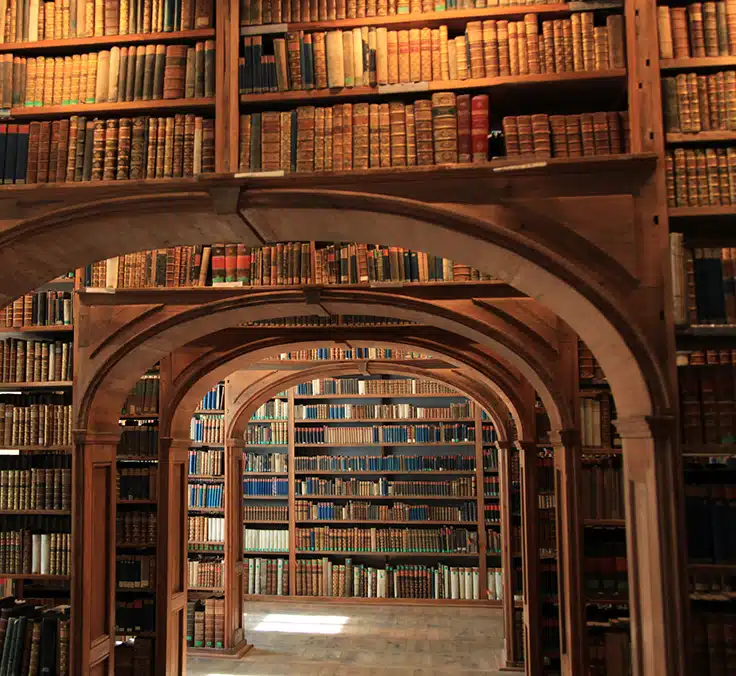 Libraries: Safe havens around the world