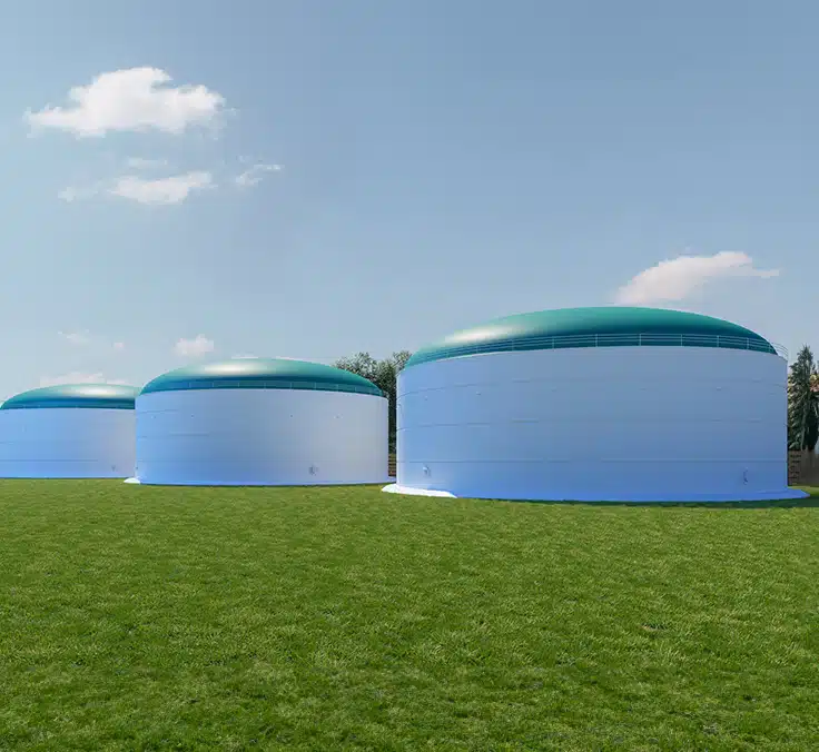 El biometano, el gas verde que llega donde no lo hace la electricidad
