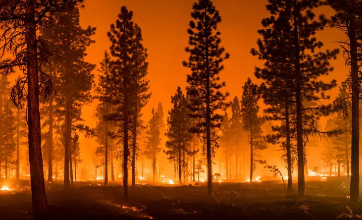 incendios-interior